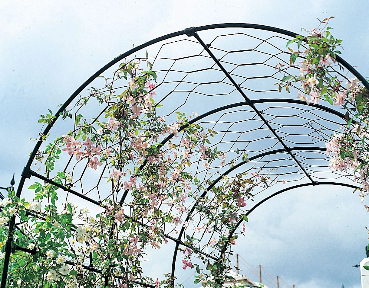 Lattice Infill Kit 1 Lattice Infill Kit