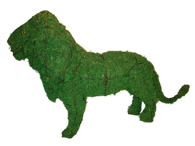 Lion Topiary - Moss Filled - 25" H X 37" L X 12" W 1 Lion Topiary - Moss Filled - 25" H X 37" L X 12" W