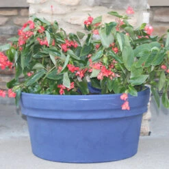 Low Rolled Rim Planter -Outdoor Decor Art low rolled rim tn 30658.1679426616