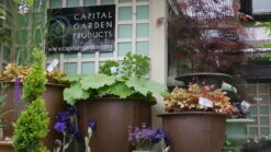 Norman Fiberglass Planter -Outdoor Decor Art norman plantedrust 14870.1676120731