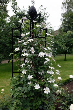 Obelisk II -Outdoor Decor Art obelisk ii clematis 53418.1676036637