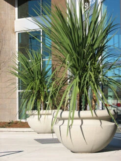 Orchard Bowl Planter 17 Orchard Bowl Planter -Outdoor Decor Art orchard 36group lst everett mall 11 10302.1695334942