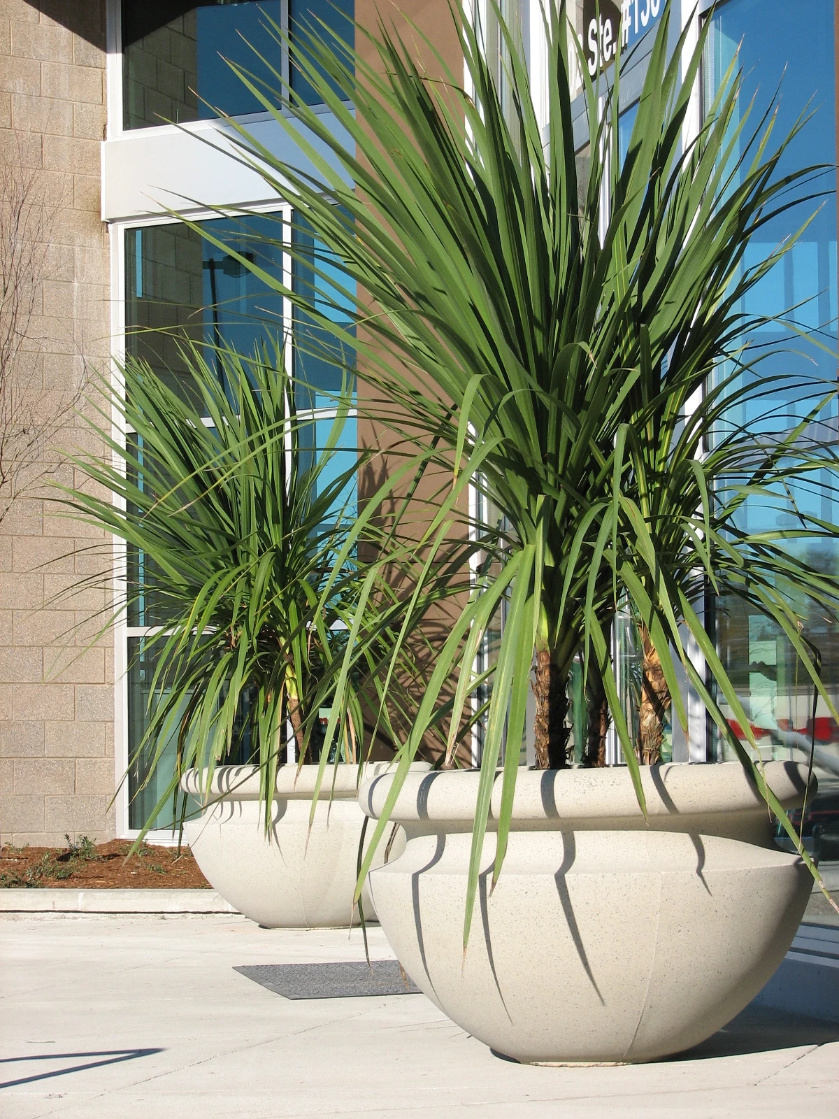 Orchard Bowl Planter 9 Orchard Bowl Planter - Image 9