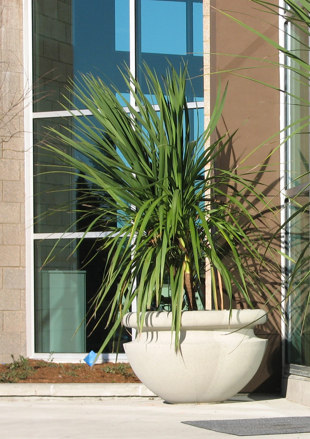 Orchard Bowl Planter 2 Orchard Bowl Planter - Image 2