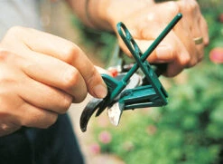 Secateur, Pruner & Lopper Sharpener