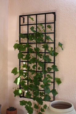 28" Modern Wall Trellis
