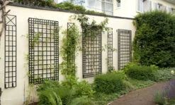 Poundbury Trellis (Wide Wall Trellis) 7 Poundbury Trellis (Wide Wall Trellis) -Outdoor Decor Art r9 6f combo 47025.1676036667
