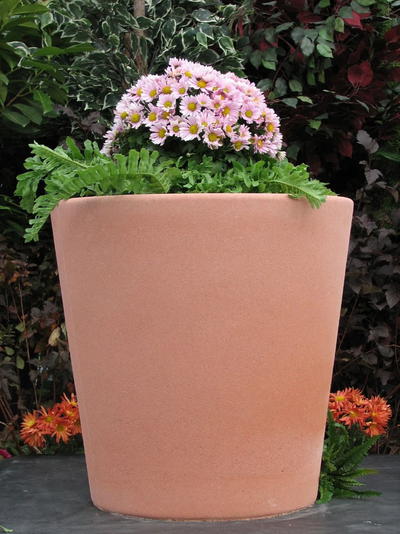 Regency Planter 2 Regency Planter - Image 2