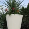 Regency Planter
