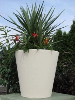 Regency Planter