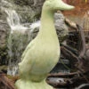 Standing Duck