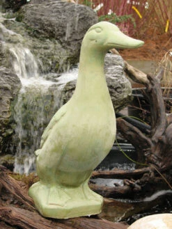 Standing Duck