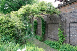 Wall Pergola
