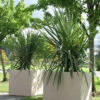 Warwick Box, Trough & Round Planters