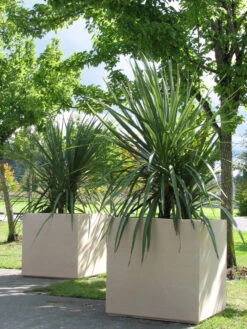 Warwick Box, Trough & Round Planters